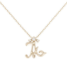 Load image into Gallery viewer, “alter ego”<br>Diamond Necklace<br>1038A
