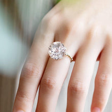 Load image into Gallery viewer, 260GK&lt;br&gt;Morganite Chain-ring
